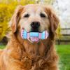 Durable Dog Chew Toy with Toothbrush Design view 3