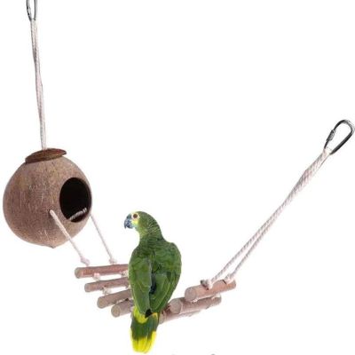 Bird Ladder House | Hanging Birdhouse with Ladder | Bird Nest in the Shape of