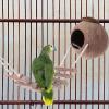 Bird Ladder House | Hanging Birdhouse with Ladder | Bird Nest in the Shape of view 3