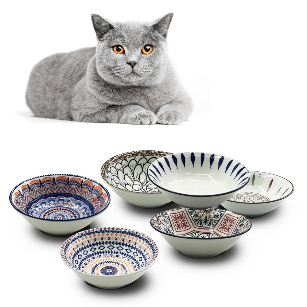 Cat Bowls for Indoor Cats, 15.7 cm, Ceramic, Whisker-Friendly, Set of 6
