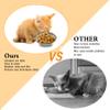 Cat Bowls for Indoor Cats, 15.7 cm, Ceramic, Whisker-Friendly, Set of 6 view 4
