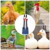 Chicken Diapers, Washable Adjustable Diapers with Bow Tie for Poultry view 4