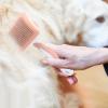 Cat Brush for Grooming - Pet Care Brush for Cats and Dogs view 2