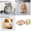 BELLIFFY Hamster Maze Toy - 2 Pack view 2
