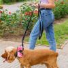 Acunny Dog Waste Bag Holder view 2