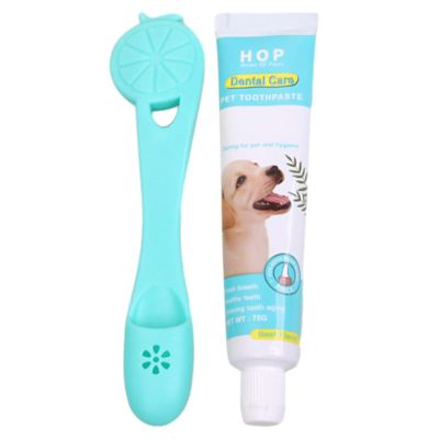 Puppy Toothbrush Set with Toothpaste