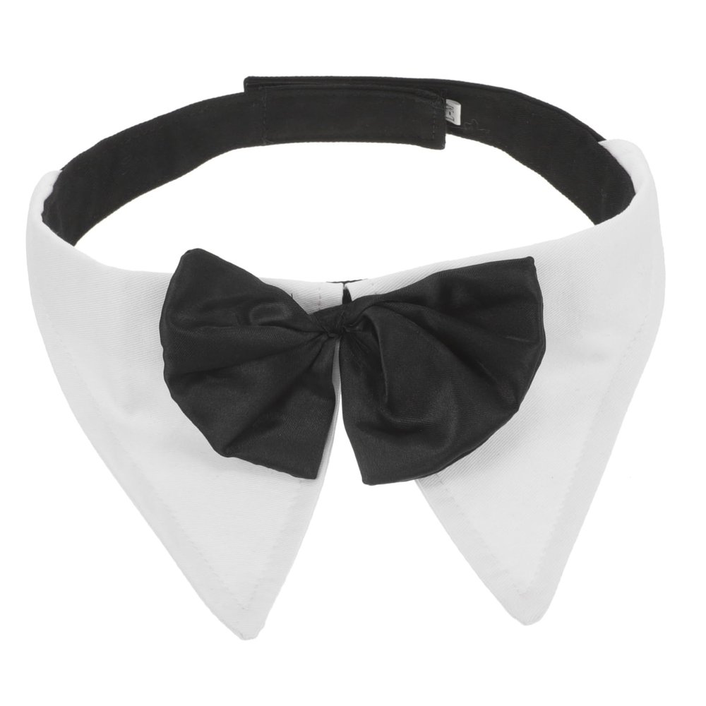Parliky Bowtie Dog Collar