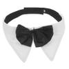 Parliky Bowtie Dog Collar view 1