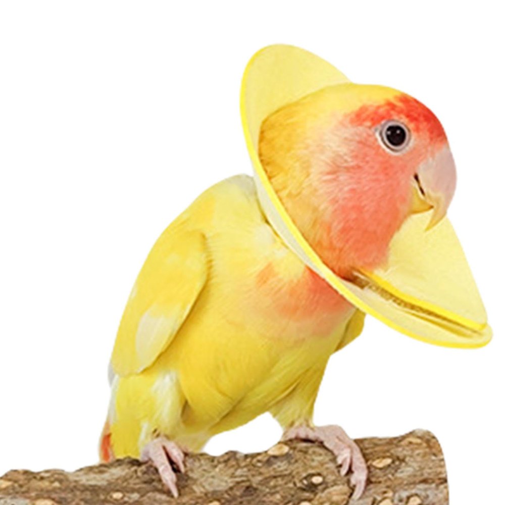 Parrot Collar, Bird Cone Collar for Plucking - Breathable Elizabethan Bird Collar