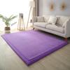 DSSHENGDS 2 cm Thick Coral Velvet Rug, 80 x 180 cm view 1