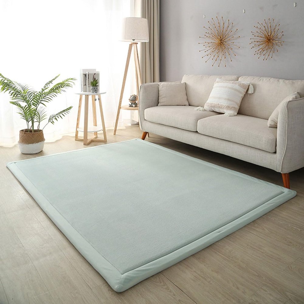 DSSHENGDS 2 cm Thick Coral Velvet Rug, 100 x 200 cm