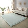 DSSHENGDS 2 cm Thick Coral Velvet Rug, 100 x 200 cm view 1