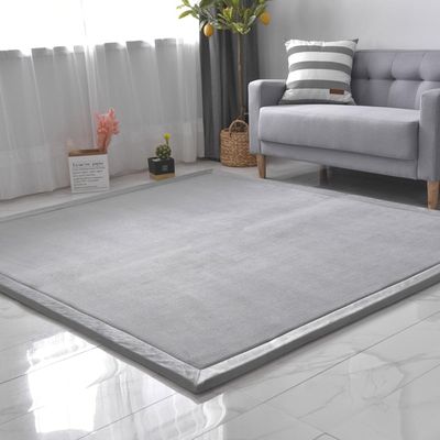 DSSHENGDS Kitchen Bedroom Dorm Room Rug, Extra-Soft Thick Coral Velvet Large Play Mat with Non-Slip Backing, Solid Color, 2 cm, C, 200 × 220 cm
