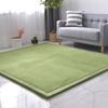 DSSHENGDS Extra-Soft Thick Coral Velvet Rug, 120 x 150 cm view 1