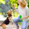 Dog Treat Training Pouch view 3