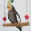 Bird Swing Toy - Easy Installation view 2