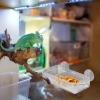 Spizummp Reptile Feeder view 3