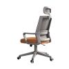 Beauty Comes Ergonomic Office Chair, Mesh, High Backrest, Gaming Chair, Large and Tall, Adjustable, Comfortable Home Office Chair for Men and Women, Swivel Chair (Orange) view 1