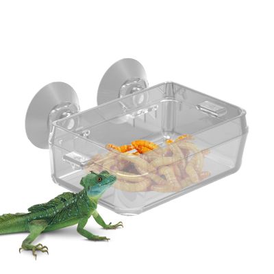 Kasmole Reptile Feeding Bowl with Suction Cup
