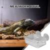 Kasmole Reptile Feeding Bowl with Suction Cup view 2