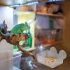 Kasmole Reptile Feeding Bowl with Suction Cup view 3