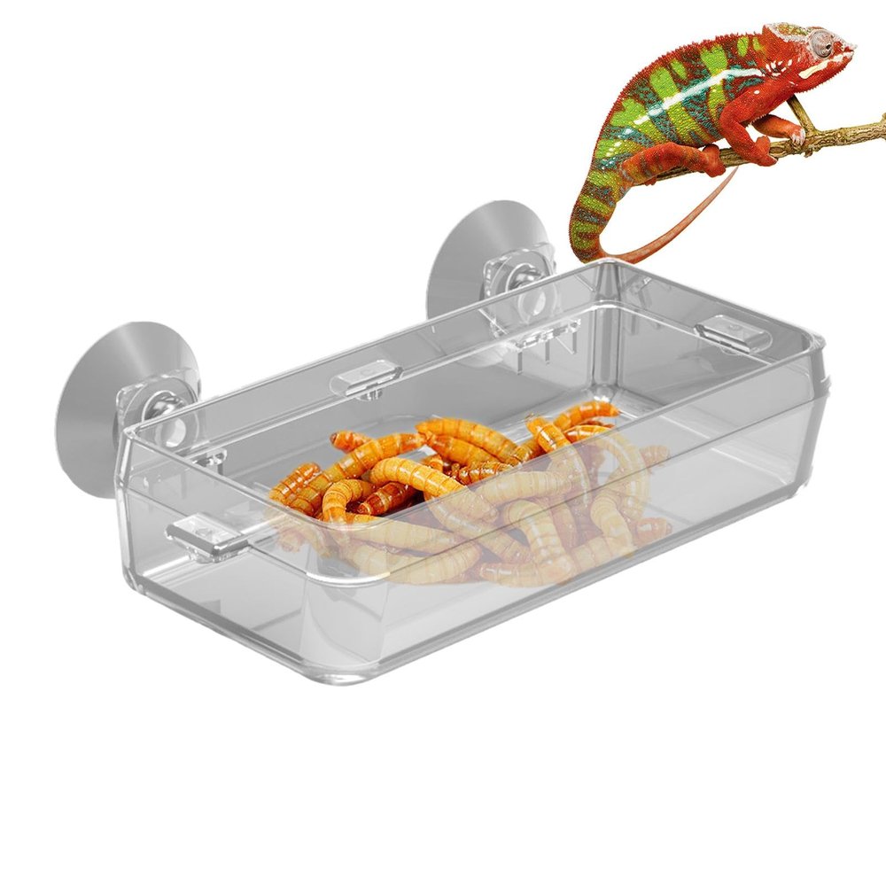 Anti-Scape Reptile Feeding Bowl