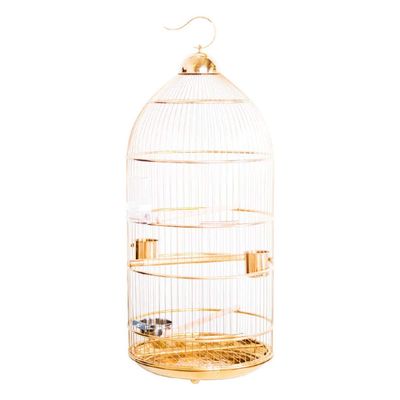 asdchZen Elevated Stainless Steel Flight Cage for Parrots and Mynas, Gold, 45 × 95 cm