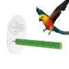 Bird Perch with Suction Cup view 1