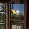 Bird Perch with Suction Cup view 2