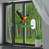Bird Perch with Suction Cup view 3