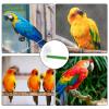 Bird Perch with Suction Cup view 4