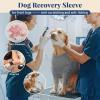 Anti-Lick Wound Sleeve for Dogs’ Front Legs view 3
