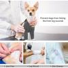 Anti-Lick Wound Sleeve for Dogs’ Front Legs view 4