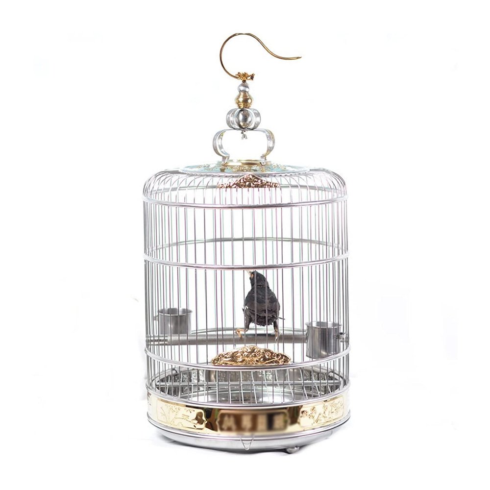 asdchZen Deluxe Stainless Steel Flight Cage for Birds, 45 × 45 cm