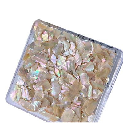 Irregular Shell Nail Art Flakes, Colorful 3D Decorations