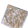 Irregular Shell Nail Art Flakes, Colorful 3D Decorations view 1