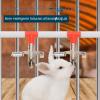 Rabbit Water Dispenser - Metal Drinker with Nozzle view 2