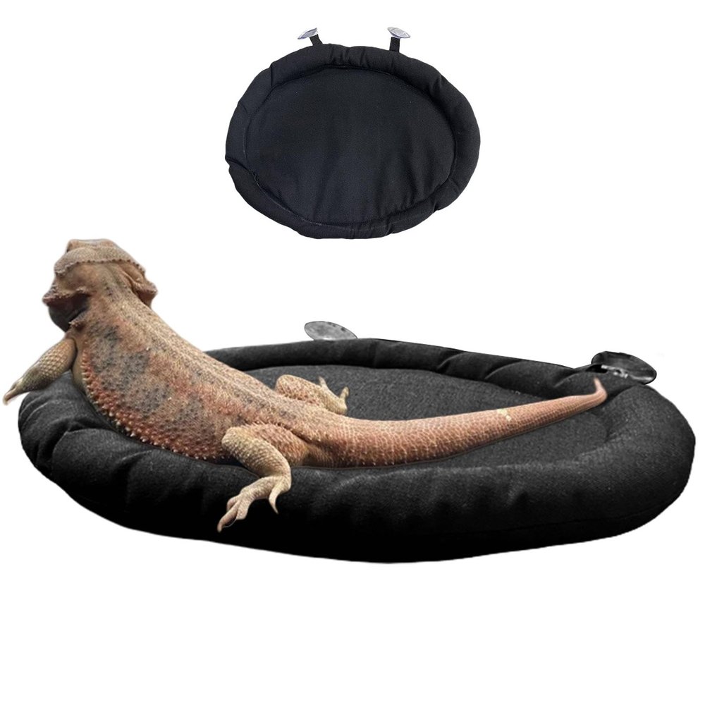 Reptile Car Hammock for Bearded Dragons