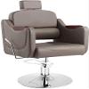 Hydraulic Hair Styling Chair for Business or Home, Gray, 190 kg Capacity view 1