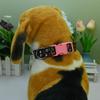 Newtensina Fashion Flower Pattern Dog Collar - Black - L view 4