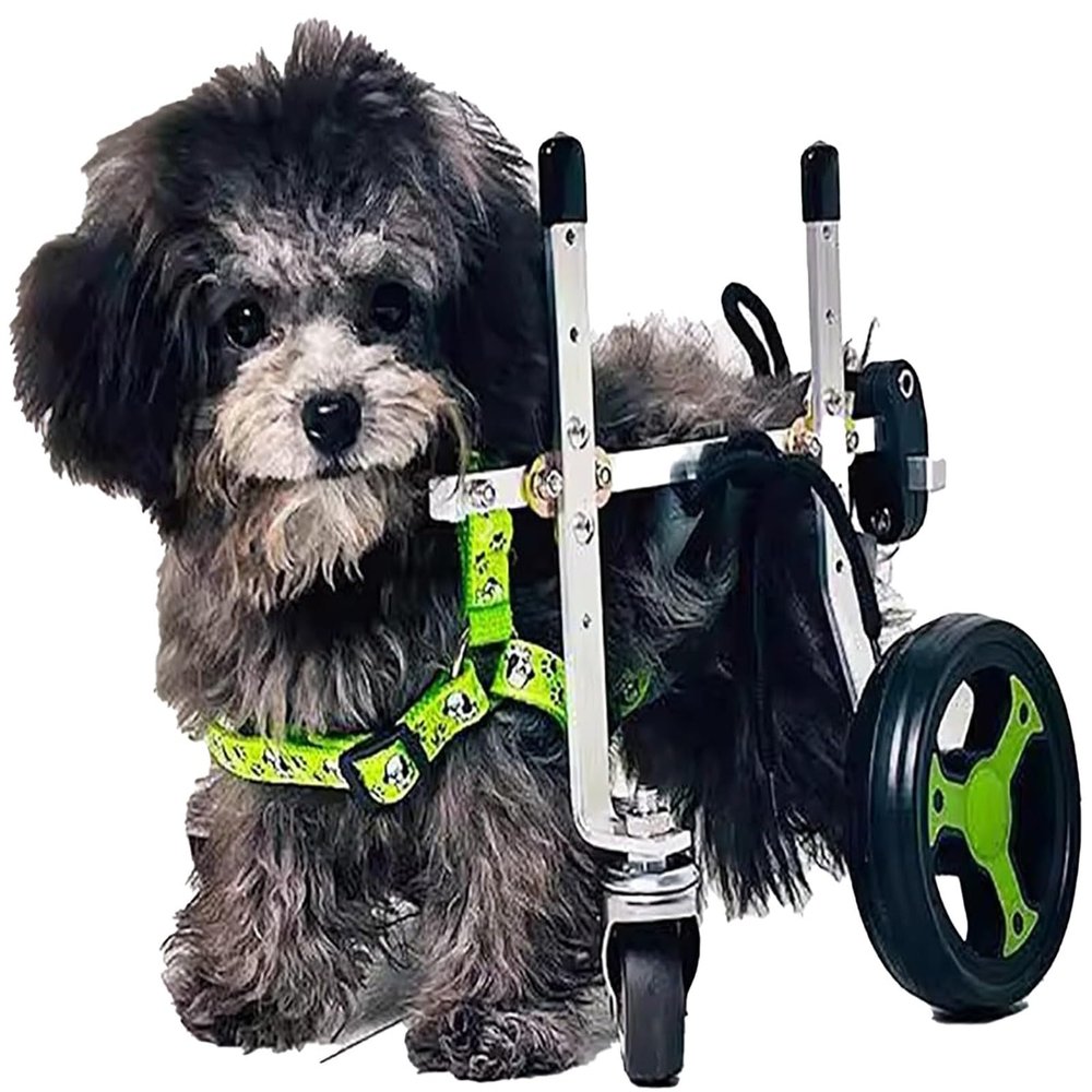 Dog Wheelchair with Full Support, 4-Wheel Mobility Cart for Disabled Dogs (XXX-Small)
