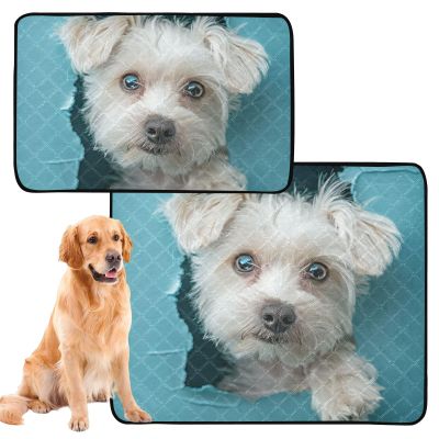 Washable, Non-Slip Dog Mats for Grass, 61 x 91.4 cm + 91.4 x 106.7 cm, Cartoon Cute White Dog, 2-Pack