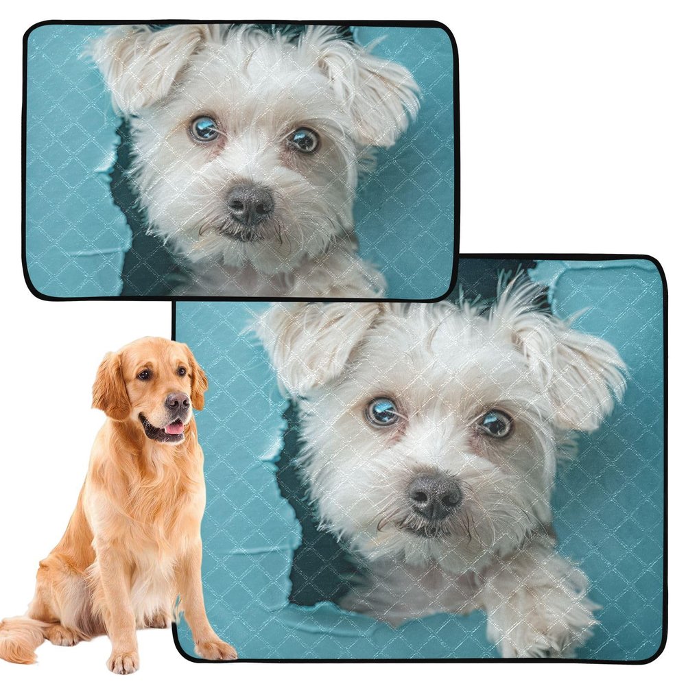 Washable, Non-Slip Dog Mats for Grass, 61 x 91.4 cm + 91.4 x 106.7 cm, Cartoon Cute White Dog, 2-Pack