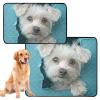 Washable, Non-Slip Dog Mats for Grass, 61 x 91.4 cm + 91.4 x 106.7 cm, Cartoon Cute White Dog, 2-Pack view 1