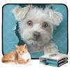 Washable, Non-Slip Dog Mats for Grass, 61 x 91.4 cm + 91.4 x 106.7 cm, Cartoon Cute White Dog, 2-Pack view 2