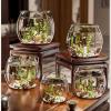 FUHAI-666 Round PET Fish Bowl, High-Transparency Small Aquarium Set, 13 x 17 x 14 cm view 3