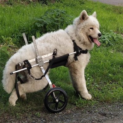 Generic 2-Wheel Dog Wheelchair for Large Breeds, Adjustable Pet Cart, Max. 50 kg