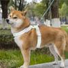 Dog Harness, Medium Size, Adjustable Vest view 2