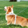 Dog Harness, Medium Size, Adjustable Vest view 3