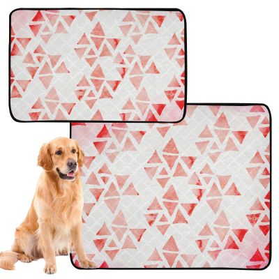 Dog Mat for Cats, Extra-Large Washable Non-Slip Urine Pads, 61 x 91 cm, Boho Style, 2-Pack